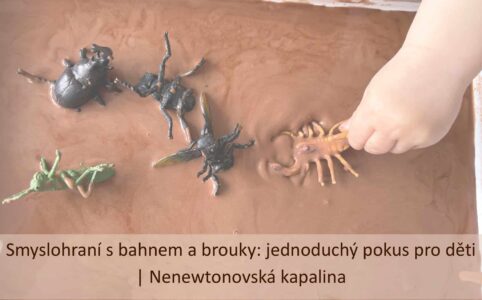 Dětská ruka si hraje s plastovým stonožkou v hnědé nenewtonovské kapalině, kolem jsou figurky brouků ponořené v „bahně“.