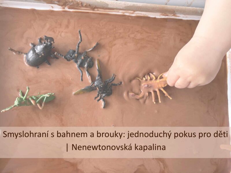 Dětská ruka si hraje s plastovým stonožkou v hnědé nenewtonovské kapalině, kolem jsou figurky brouků ponořené v „bahně“.